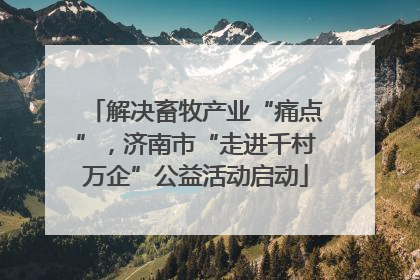 解决畜牧产业“痛点”，济南市“走进千村万企”公益活动启动